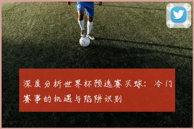 深度分析世界杯预选赛买球:冷门赛事的机遇与陷阱识别