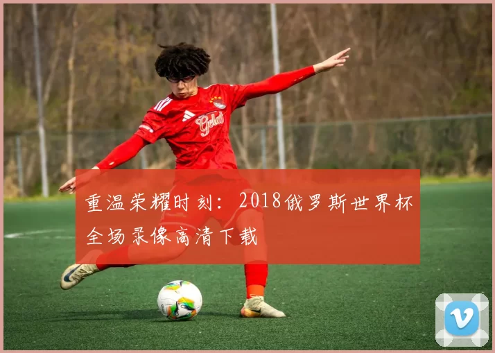 重温荣耀时刻：2018俄罗斯世界杯全场录像高清下载