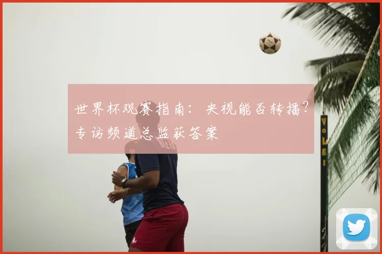 世界杯观赛指南：央视能否转播？专访频道总监获答案
