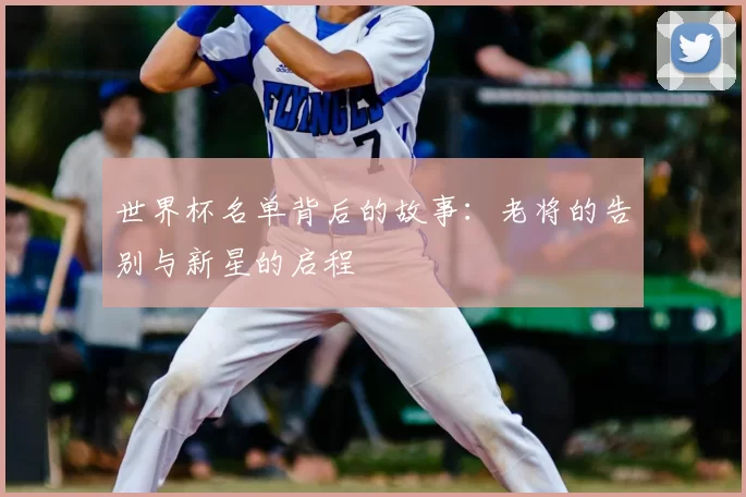 世界杯名单背后的故事:老将的告别与新星的启程