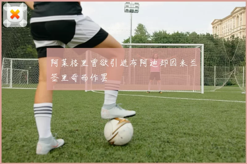 阿莱格里曾欲引进布阿迪却因米兰签里奇而作罢