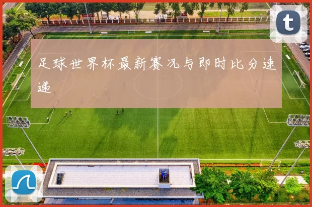 足球世界杯最新赛况与即时比分速递